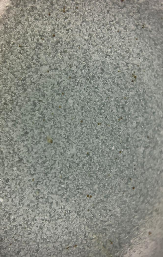 1751010873571229.jpg