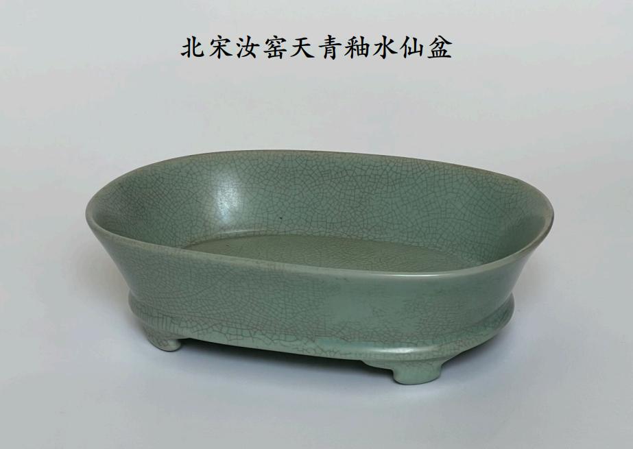 1751011559764719.jpg